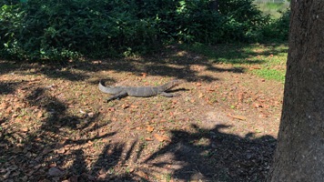 WhatsApp Image 2025-12-21 at 11.27.46